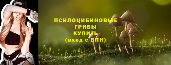 эйфоретик Алексеевка
