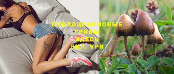 эйфоретик Алексеевка